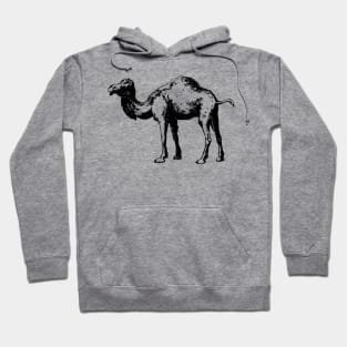 Camel Hoodie